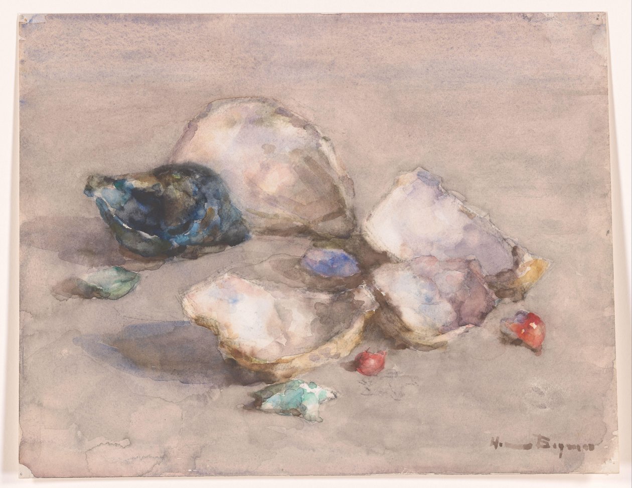 Conchiglie sulla spiaggia da Herman Bogman (signed by artist)