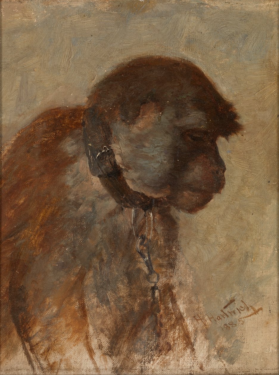 Meditazione da Herman Hartwich
