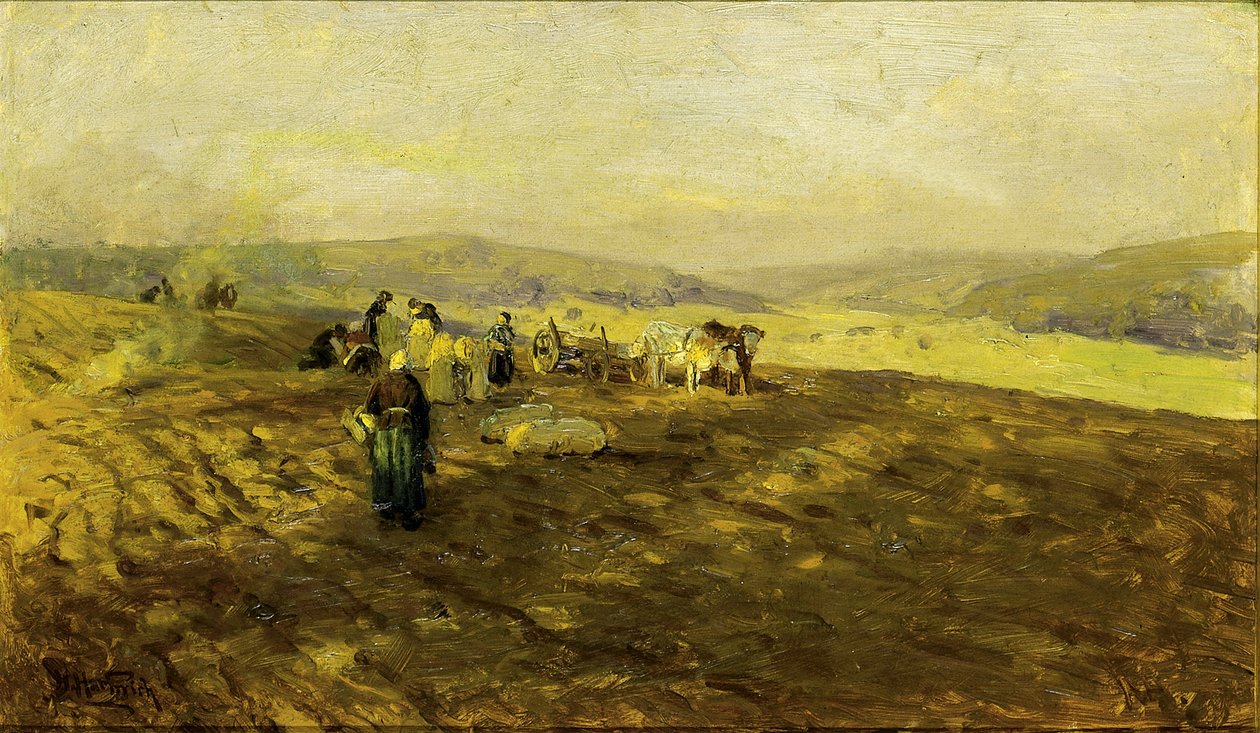 Potato Gleaners da Herman Hartwich