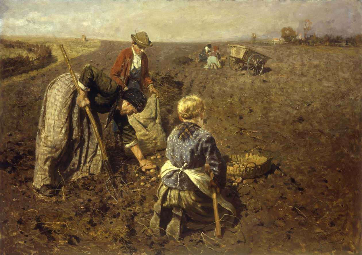 La raccolta delle patate da Herman Hartwich