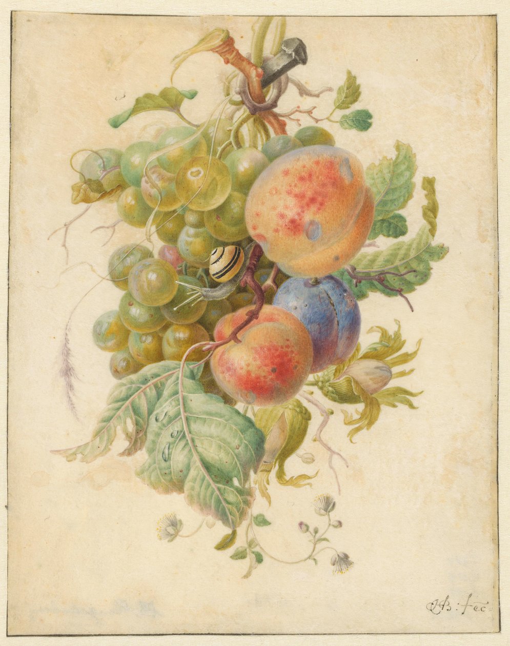 Festone di frutti da Herman Henstenburgh