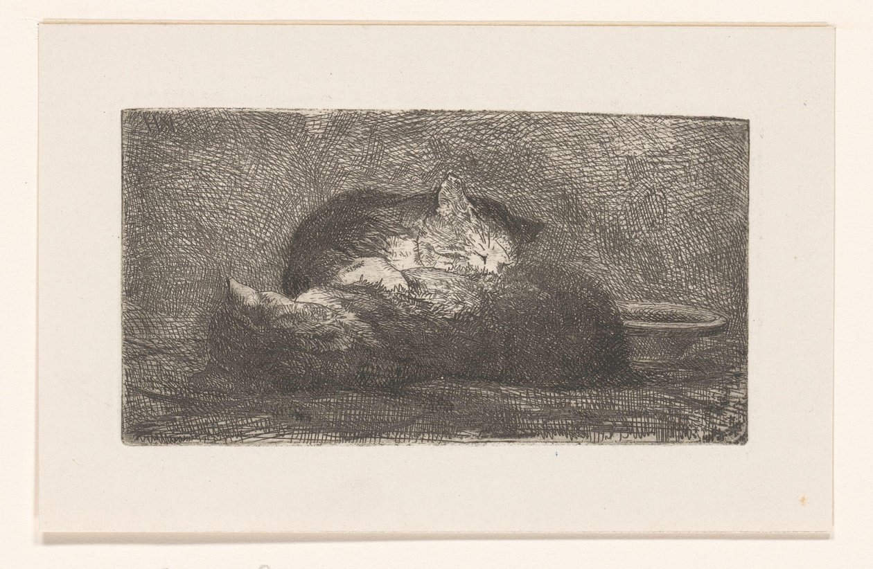 Due gatti da Herman Johannes van der Weele