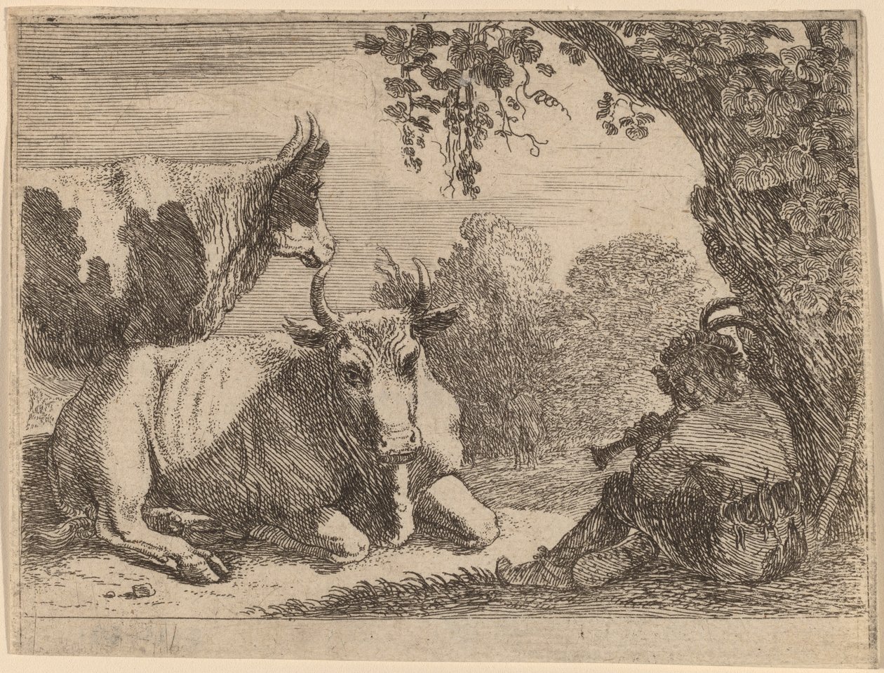 Mucche da Herman van Swanevelt
