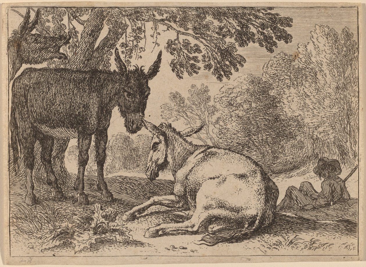 Asini da Herman van Swanevelt