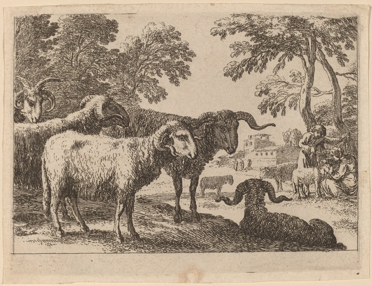 Arieti da Herman van Swanevelt