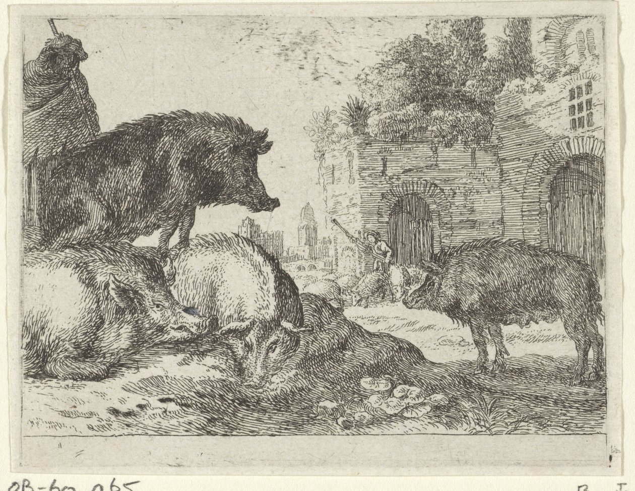 Maiali da Herman van Swanevelt