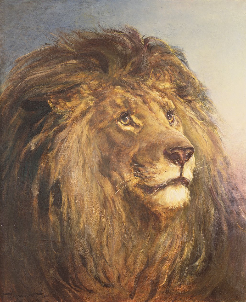 Testa di leone da Heywood Hardy