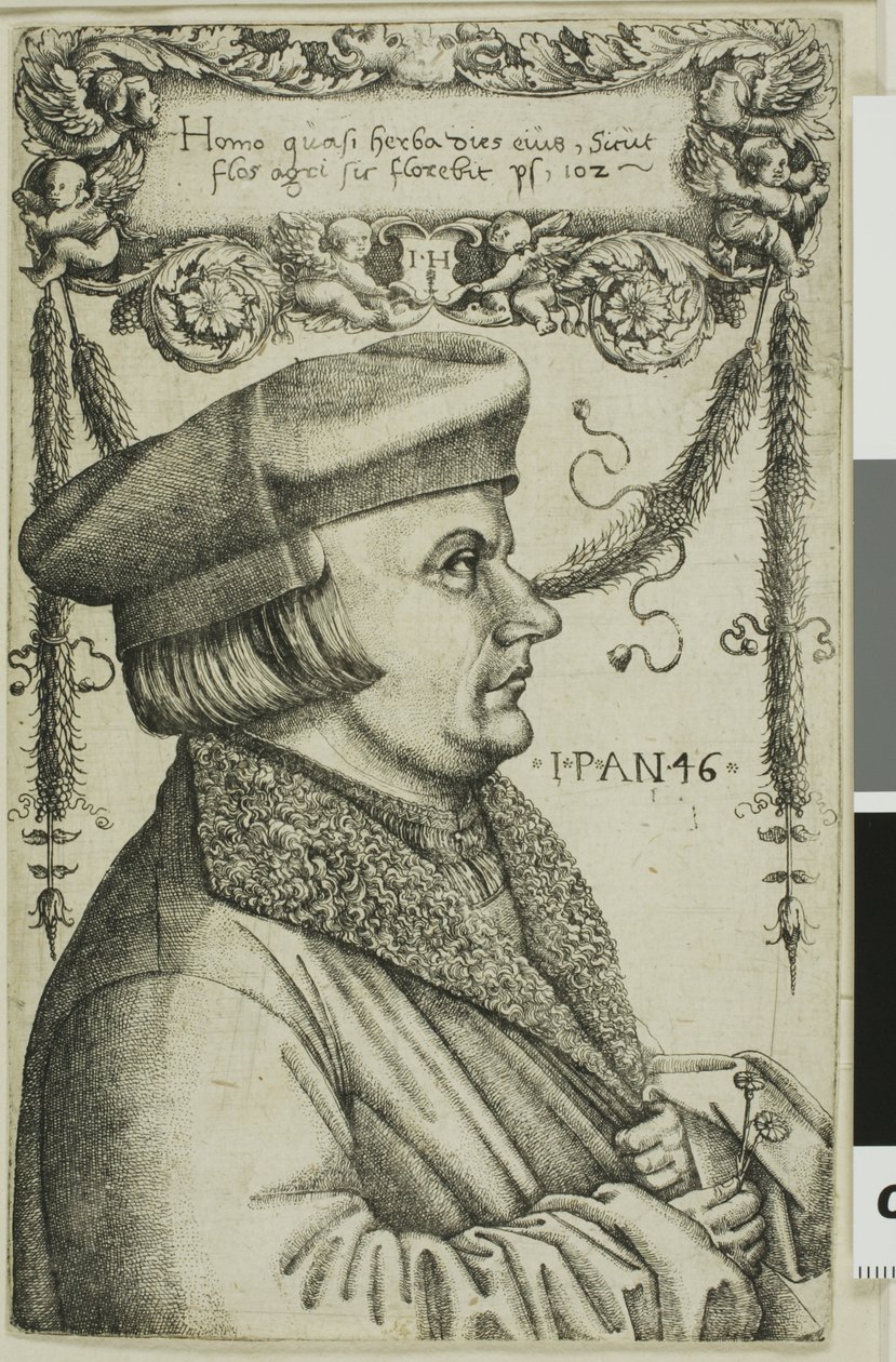 Ritratto di un uomo da Hieronymous Hopfer