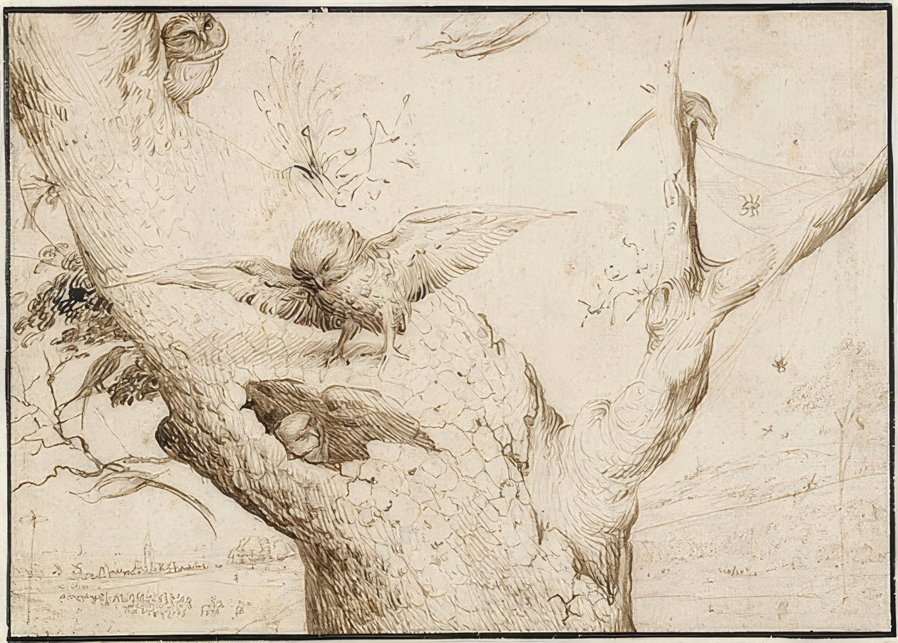 Nido di gufi, c1505-10 da Hieronymus Bosch