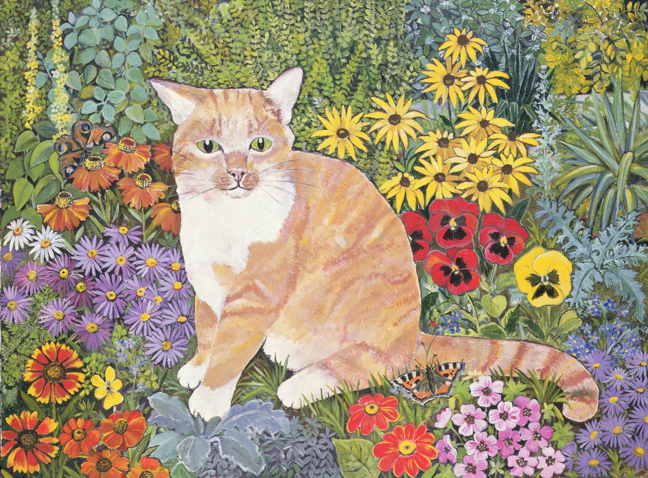 Il Gatto dei Falegnami da Hilary Jones