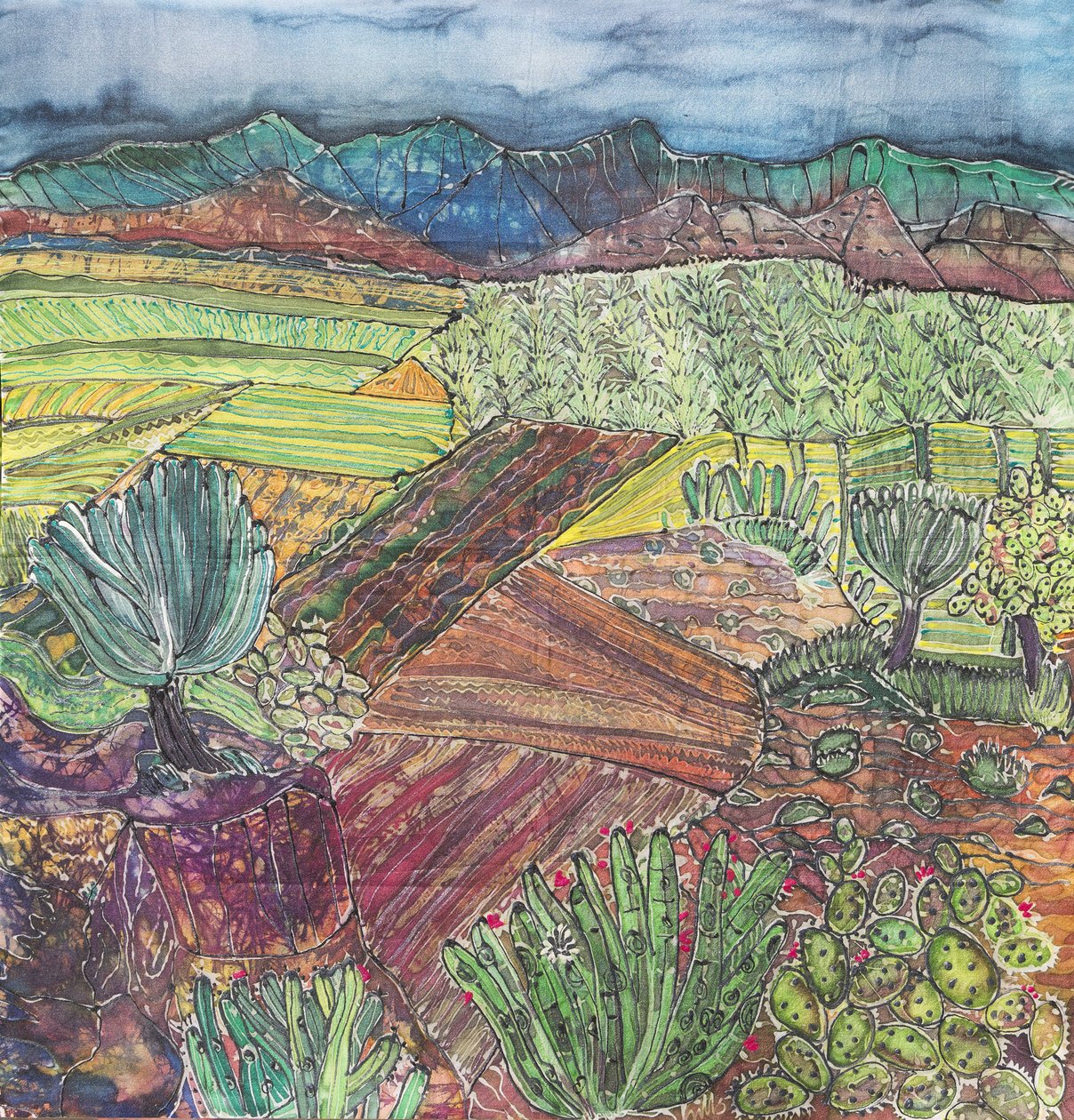 Paesaggio di Oaxaca da Hilary Simon