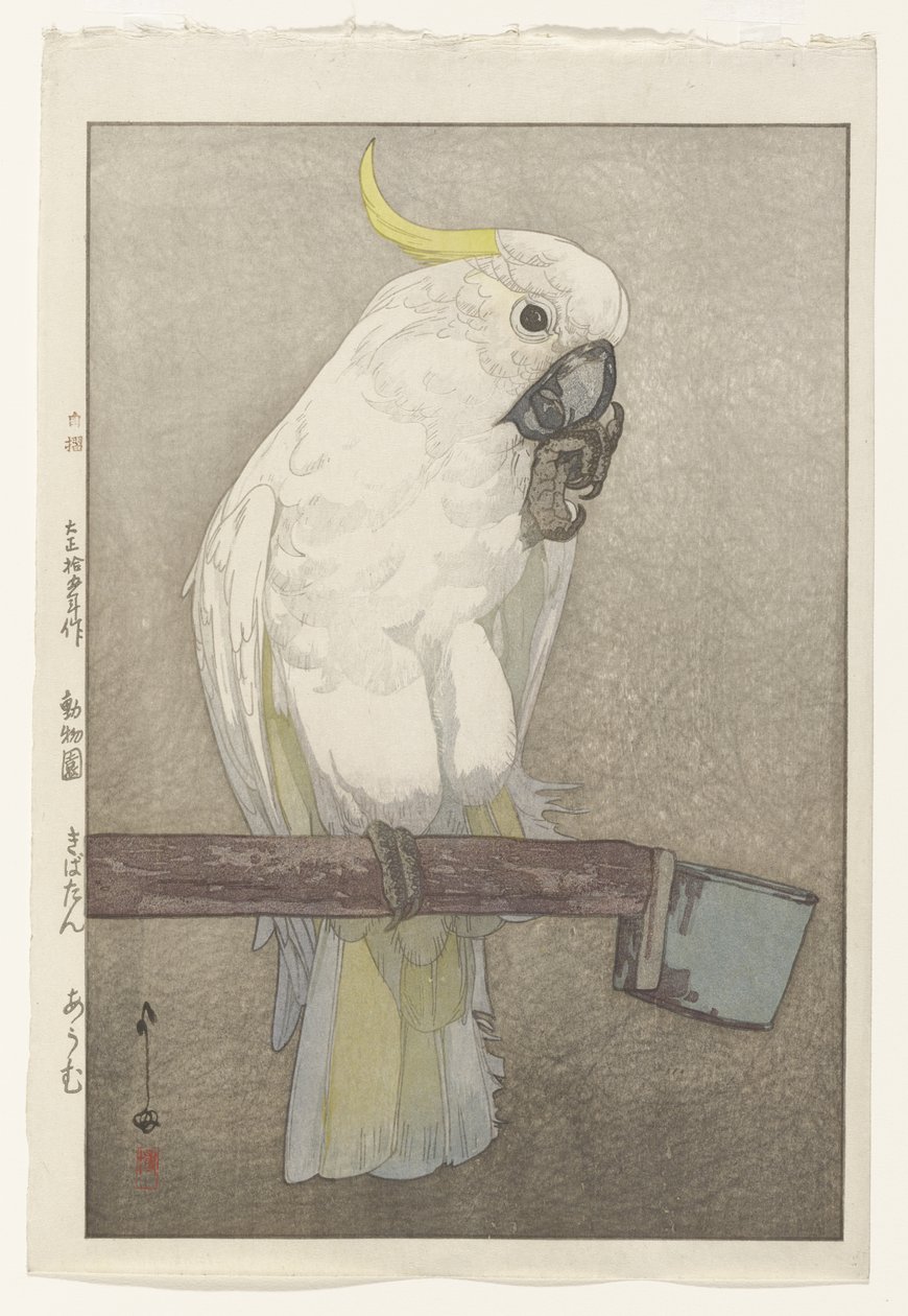 Cacatua crestagialla da Hiroshi Yoshida