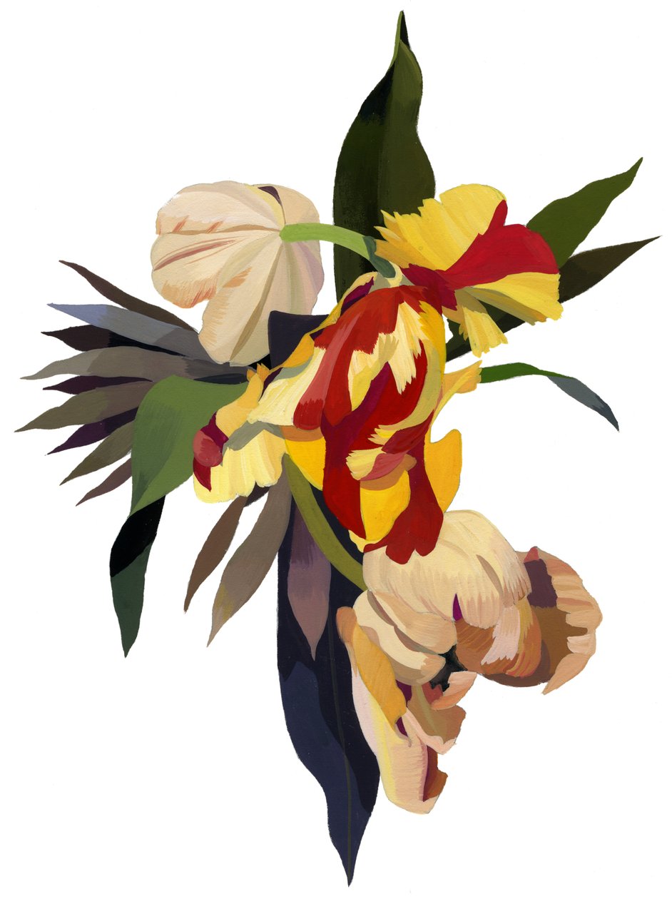 Tulipano pappagallo 3 da Hiroyuki Izutsu