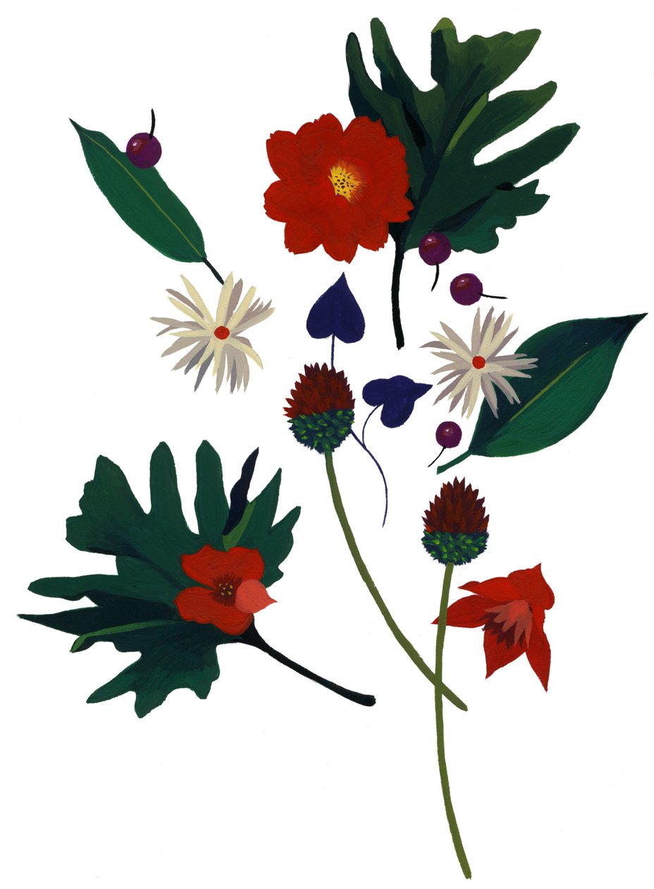 Un fiore che ti fa immaginare il Natale da Hiroyuki Izutsu