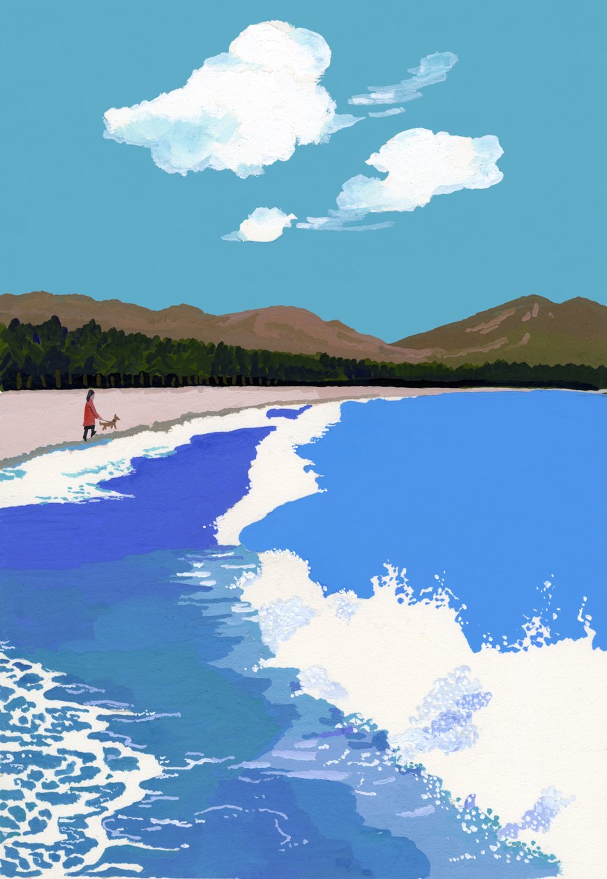 Spiaggia e pineta da Hiroyuki Izutsu