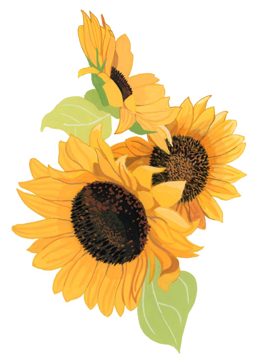 Girasole da Hiroyuki Izutsu