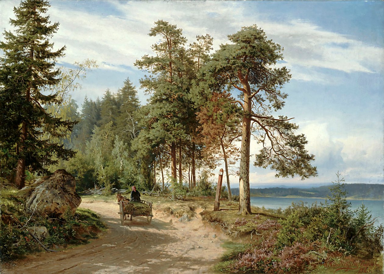Strada in Finlandia da Hjalmar Munsterhjelm