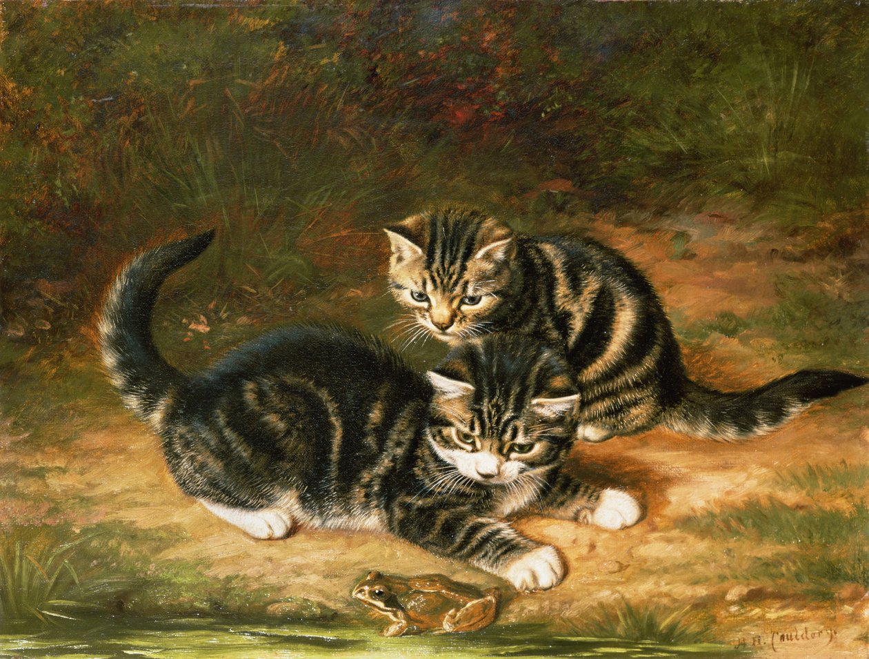 Gattini da Horatio Henry Couldery