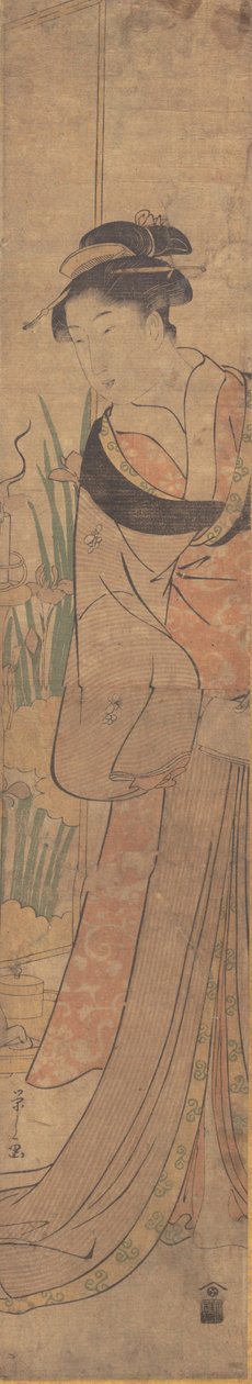 Giovane donna e giardino di iris da Hosoda Eishi