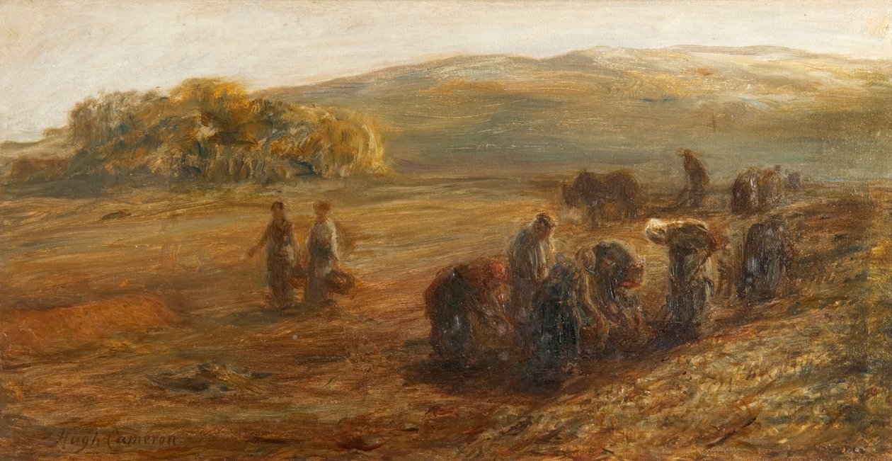 Raccolta delle patate da Hugh Cameron