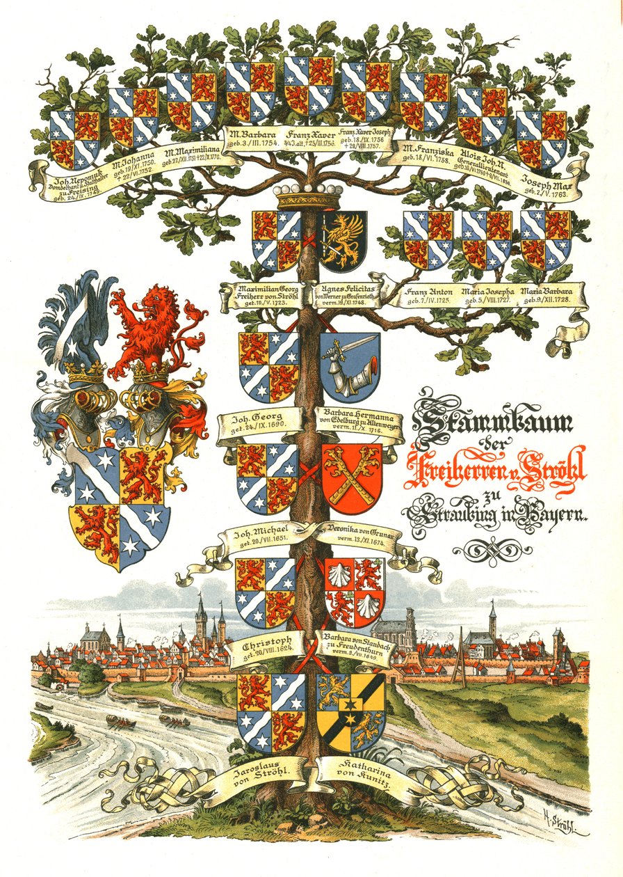 Albero araldico di Strohl da Hugo Gerard Strohl