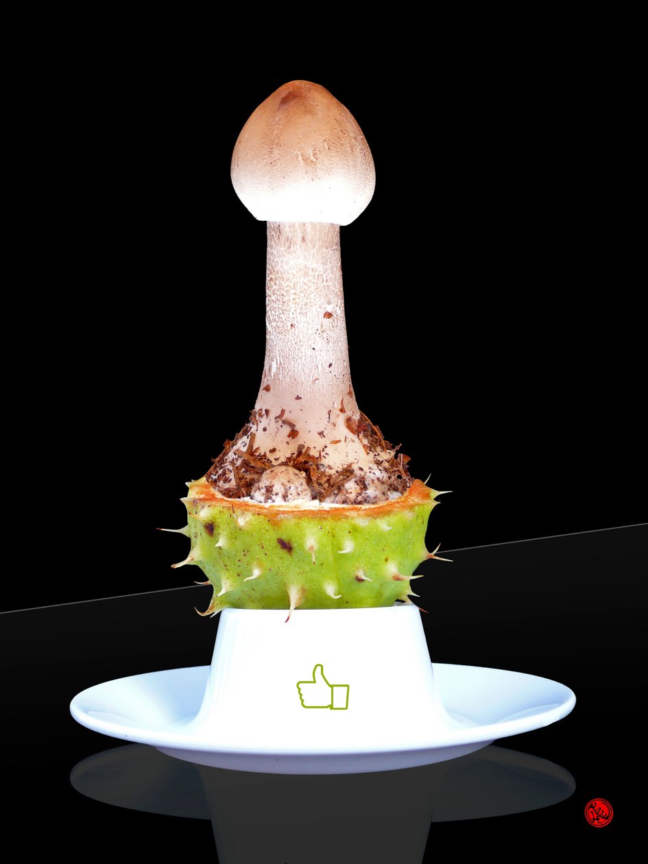 Mi piace da Hugo Nefe