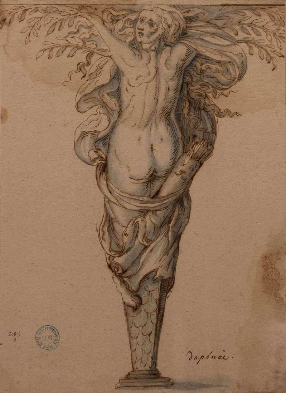 Dafne trasformata in alloro da Hugues Sambin