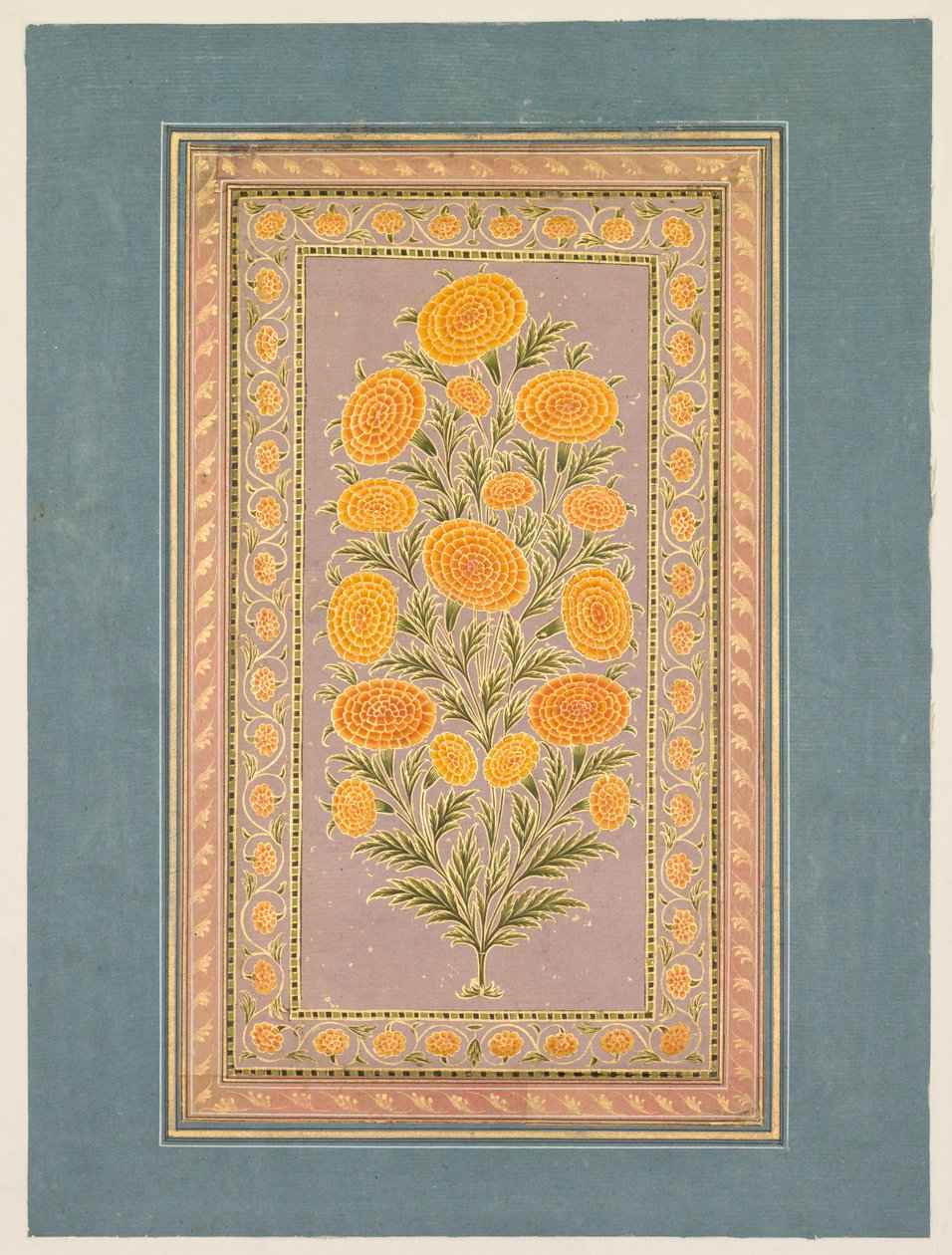 Calendula in fiore, c. 1765 da Hunhar II