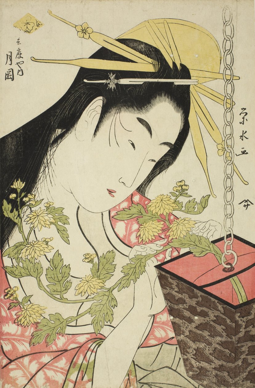 La cortigiana Tsukioka di Hyogoya, c.1797 da Ichirakutei Eisui