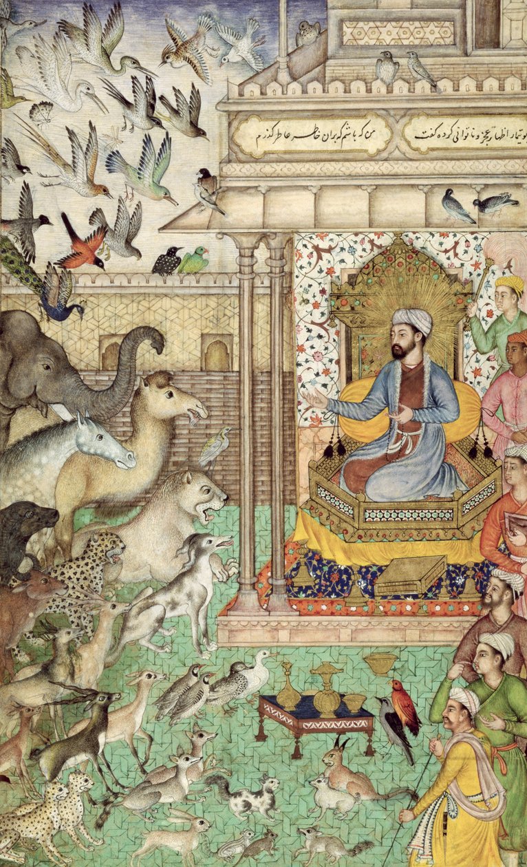 Re Salomone e gli animali da Indian School