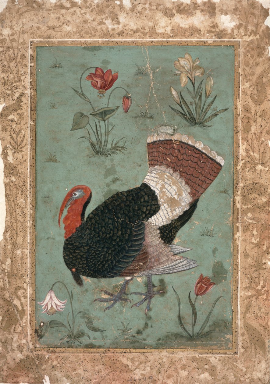 Turchia, Mughal (colore su fondo verde pallido) da Indian School