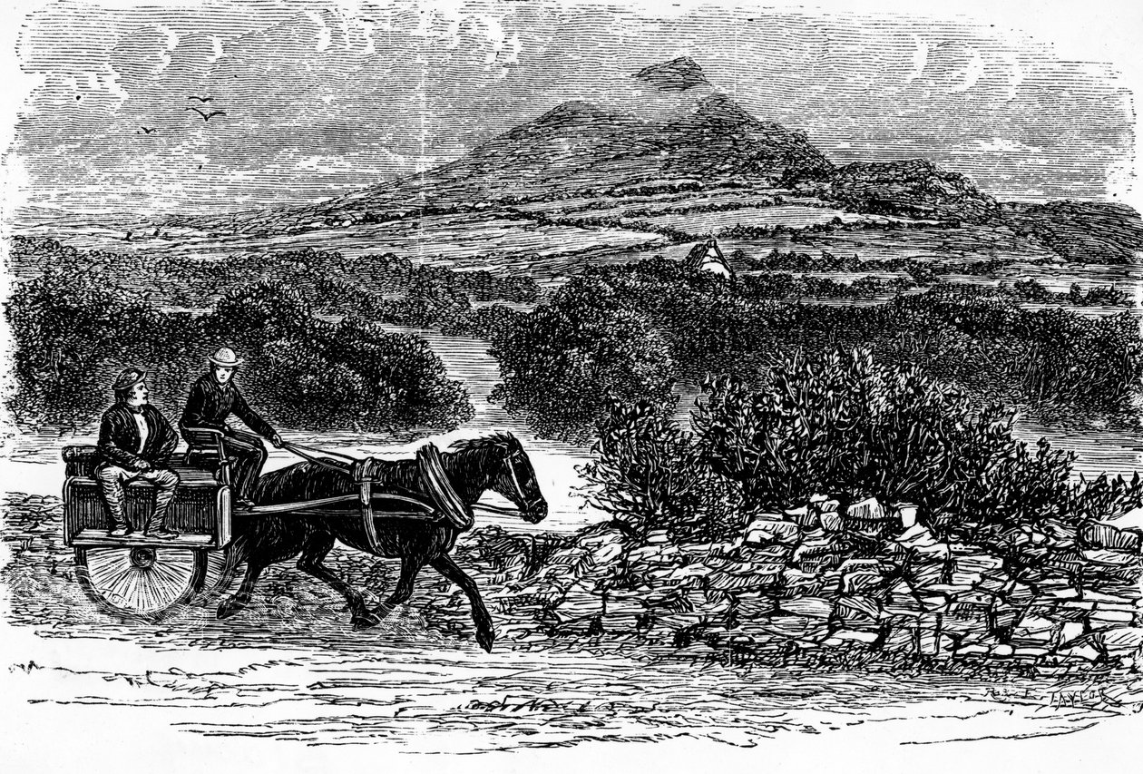Contea di Wicklow, stampa di E. Taylor da Irish School