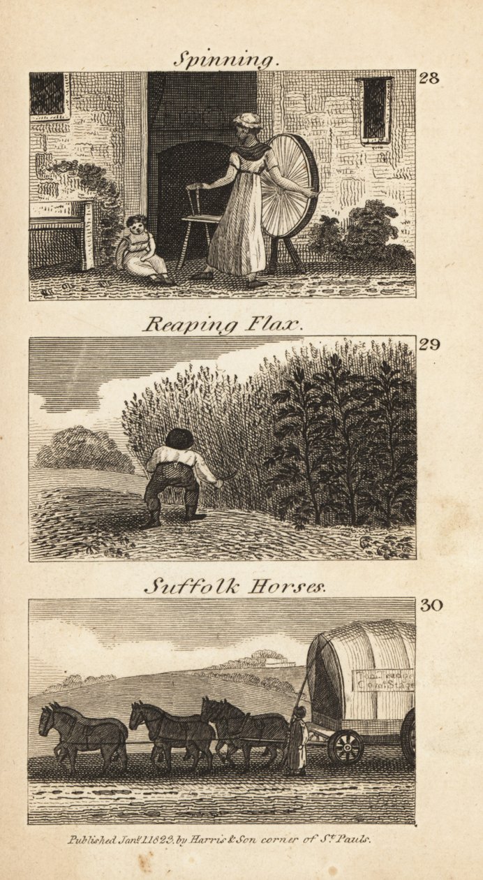 Immagine sconosciuta da Isaac Taylor