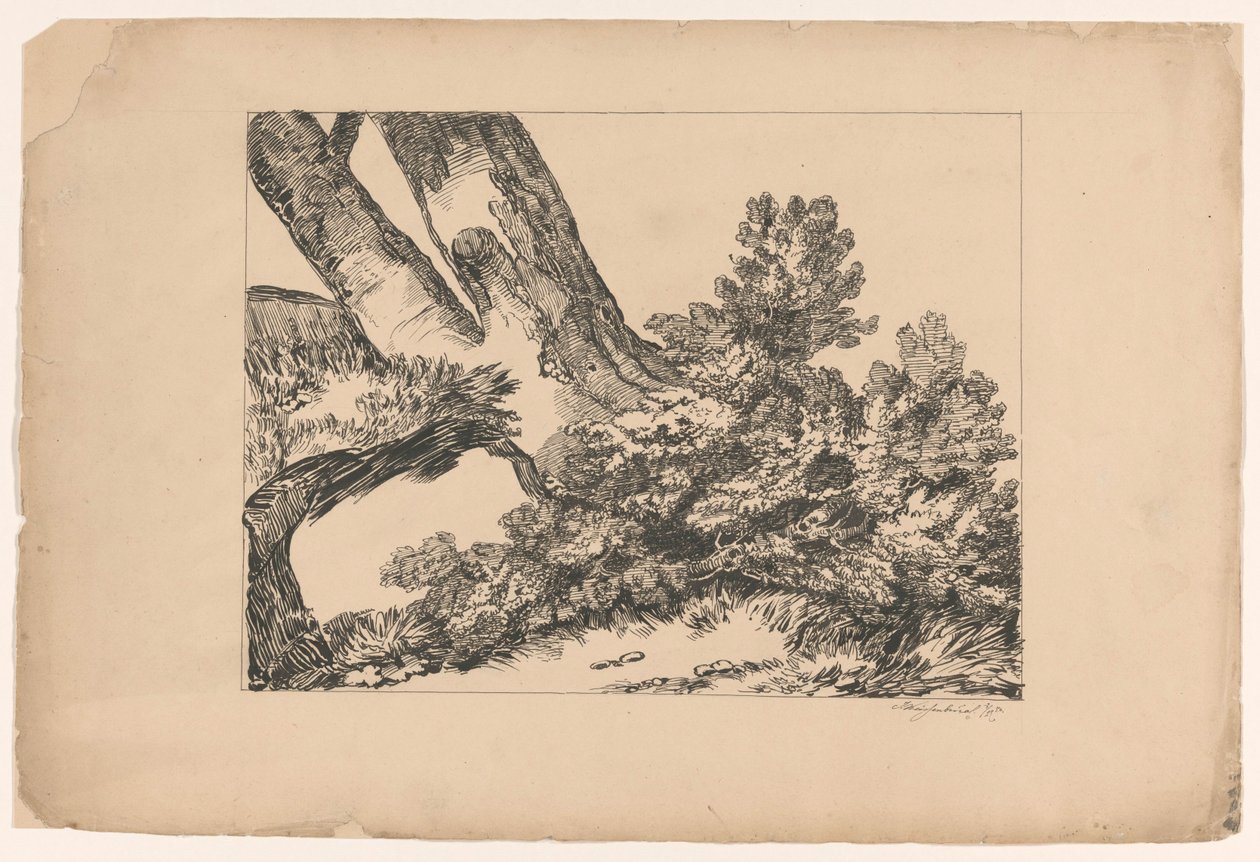 Vegetazione sotto un albero da Isaac Weissenbruch