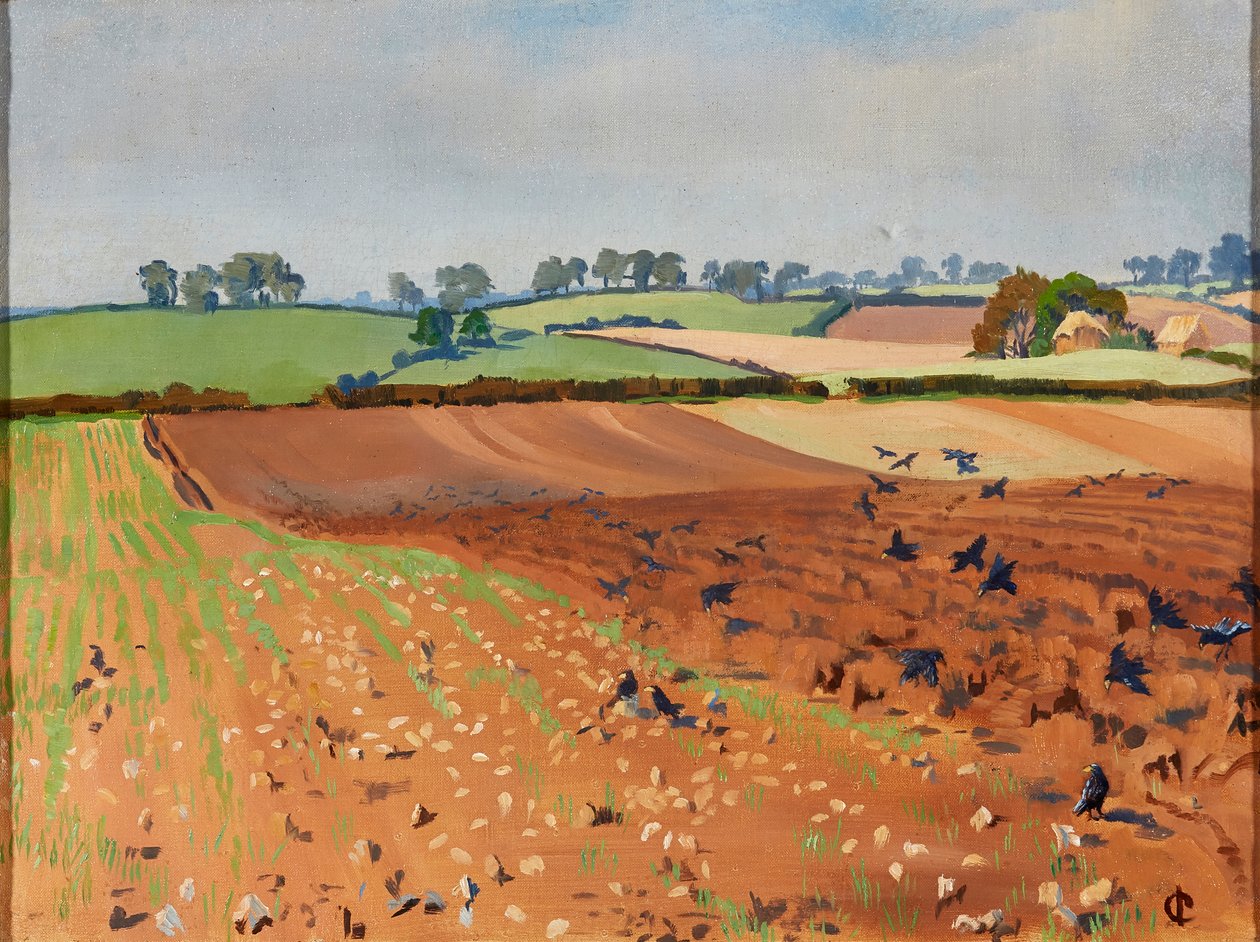 Campo arato da Isabel Codrington