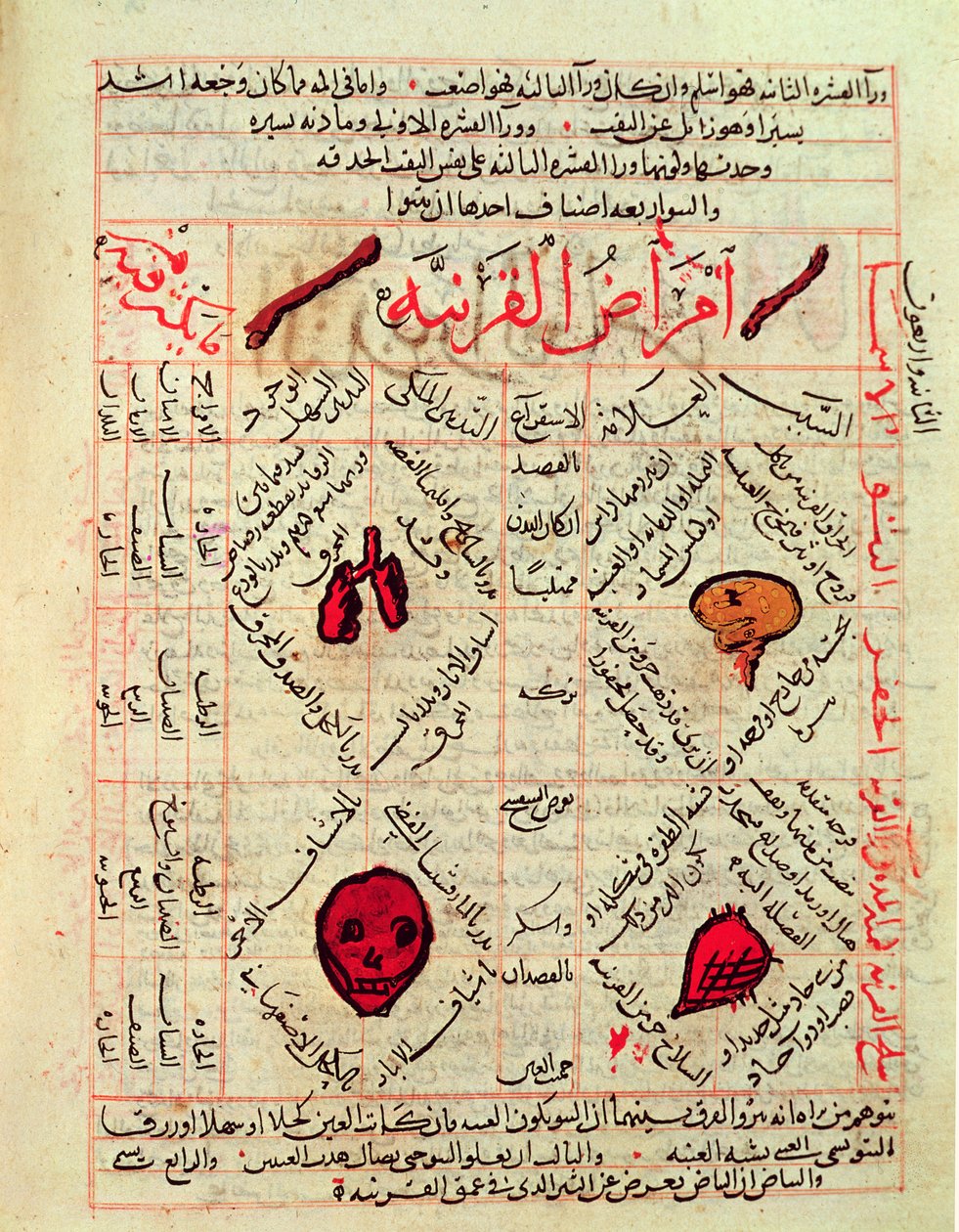 Pagina dal 