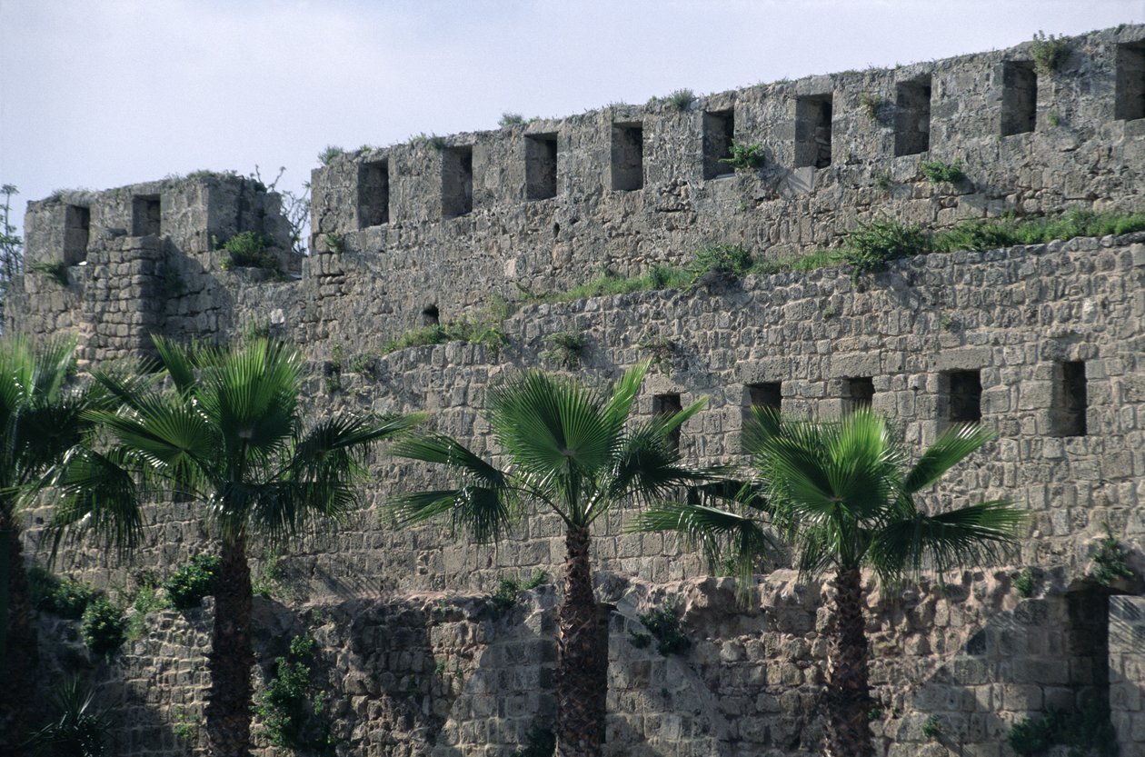 Bastioni della cittadella da Islamic School