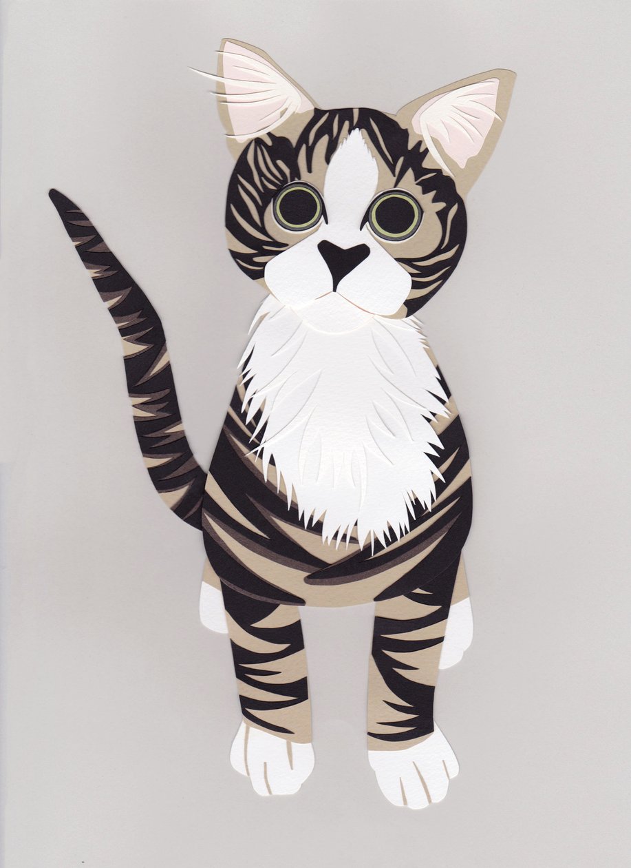 Pussycat, 2016 (carta) da Isobel Barber