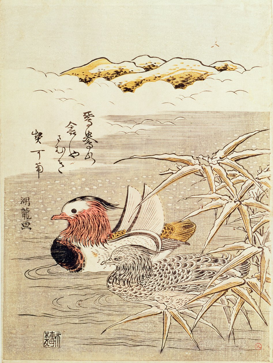 Una Coppia di Anatre Mandarine da Isoda Koryusai