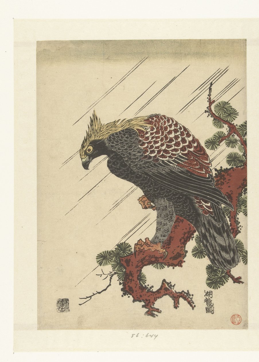 Aquila su ramo di pino sotto la pioggia da Isoda Koryusai