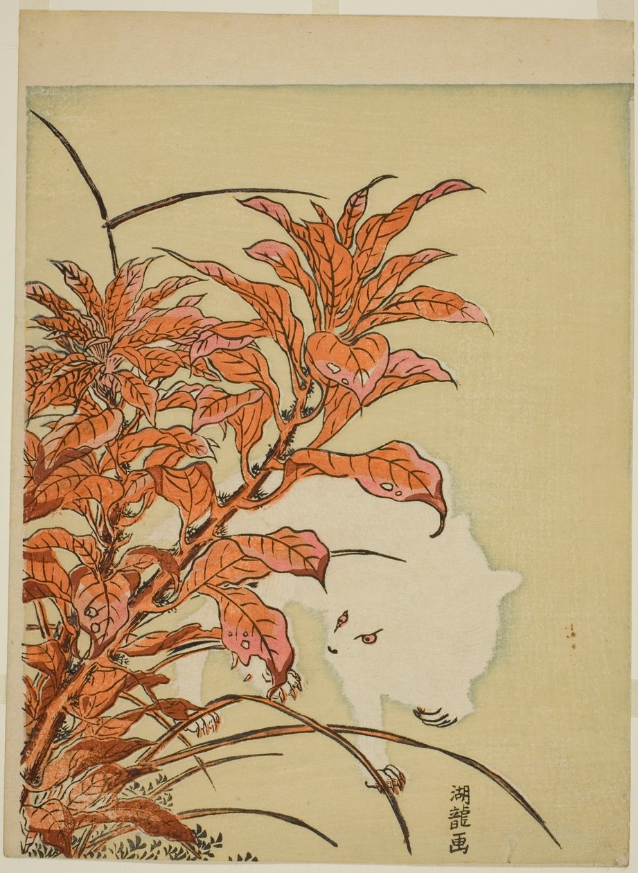 Coniglio bianco e amaranto da Isoda Koryusai