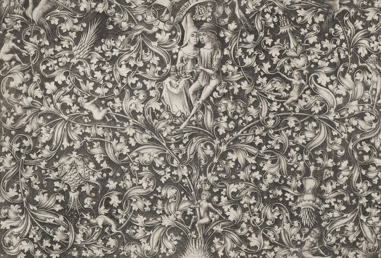 Giardino dell