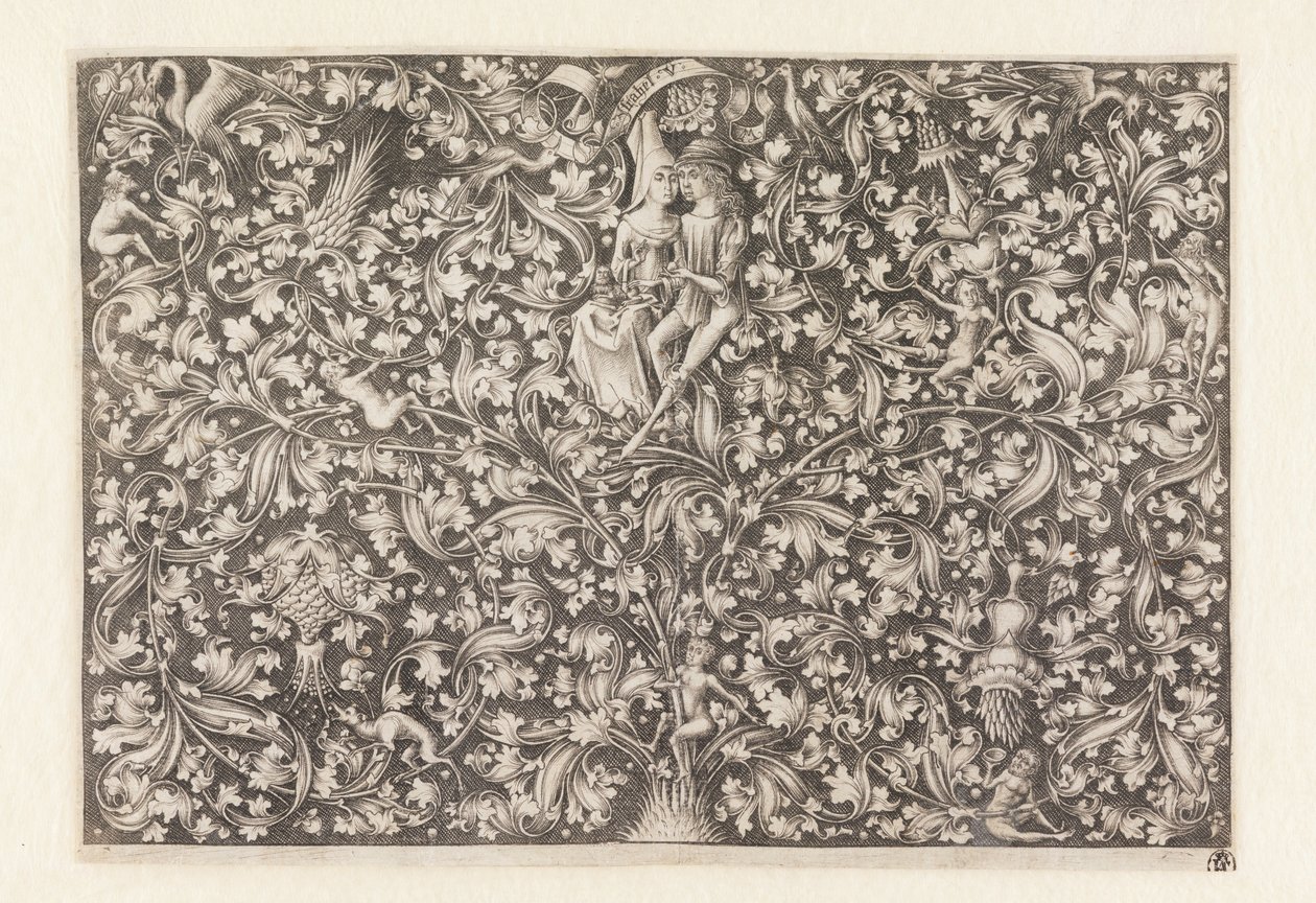Giardino dell