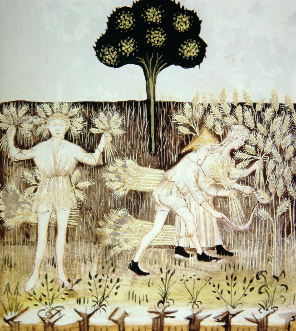 Fo.54r Estate: Raccolta del grano, illustrazione dal Tacuinum Sanitatis Codex Vindobonensis da Italian School