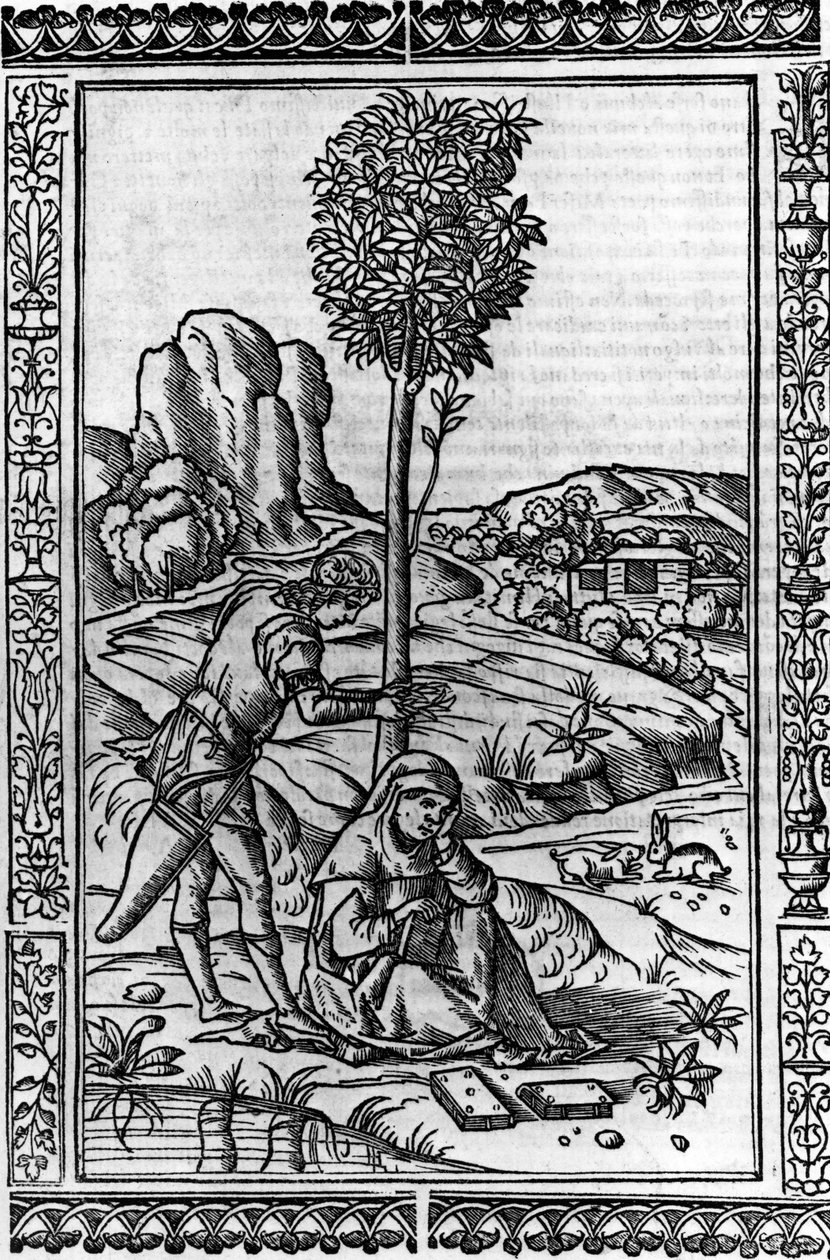 Frontespizio per un libro di poesie di Francesco Petrarca da Italian School