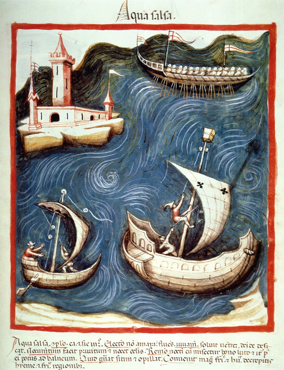 Nova 2644 f.88r Barche sul mare, illustrazione dal Tacuinum Sanitatis Codex Vindobonensis da Italian School