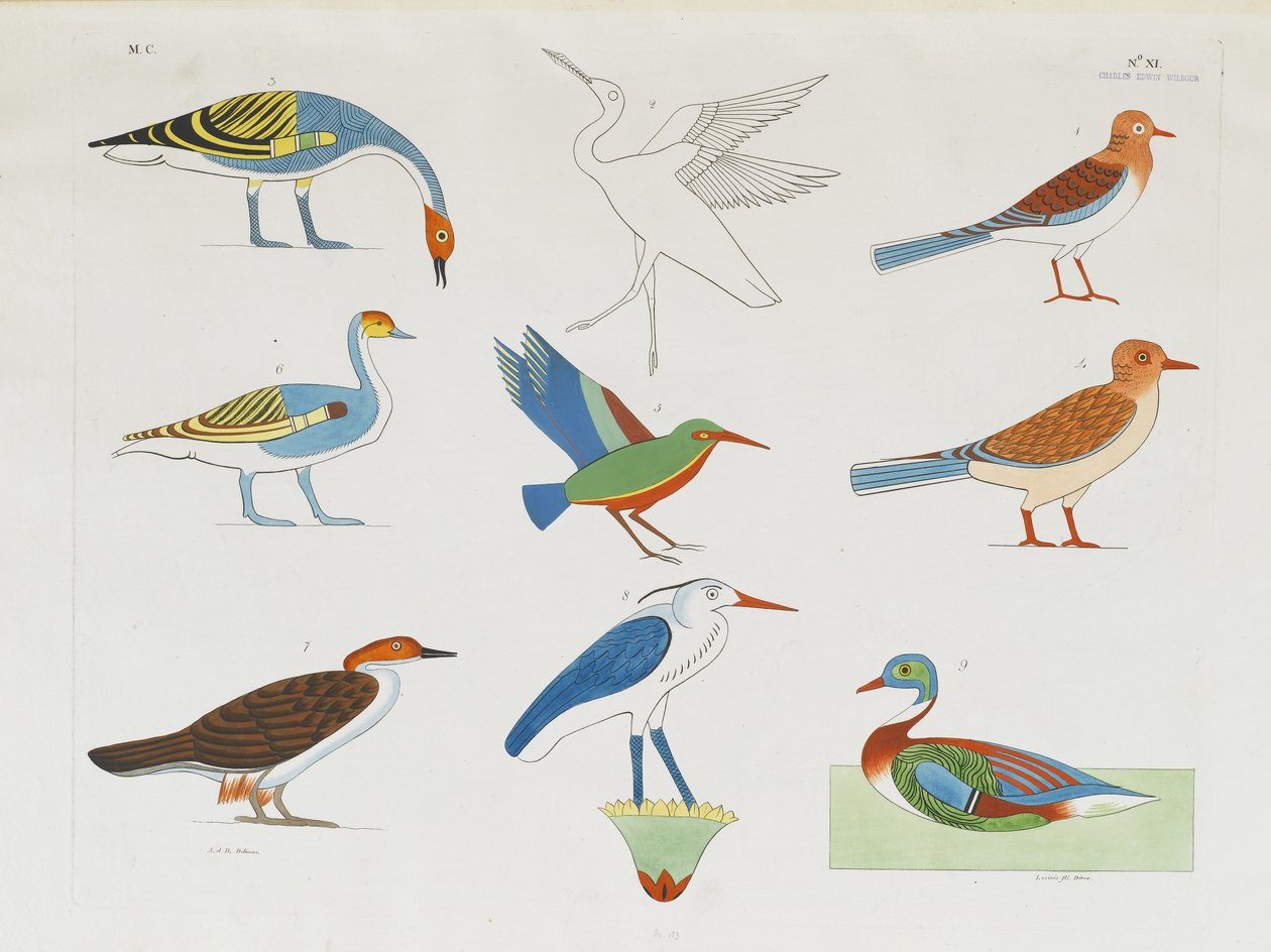 Diverse specie di uccelli rappresentate nella caccia da Italian School