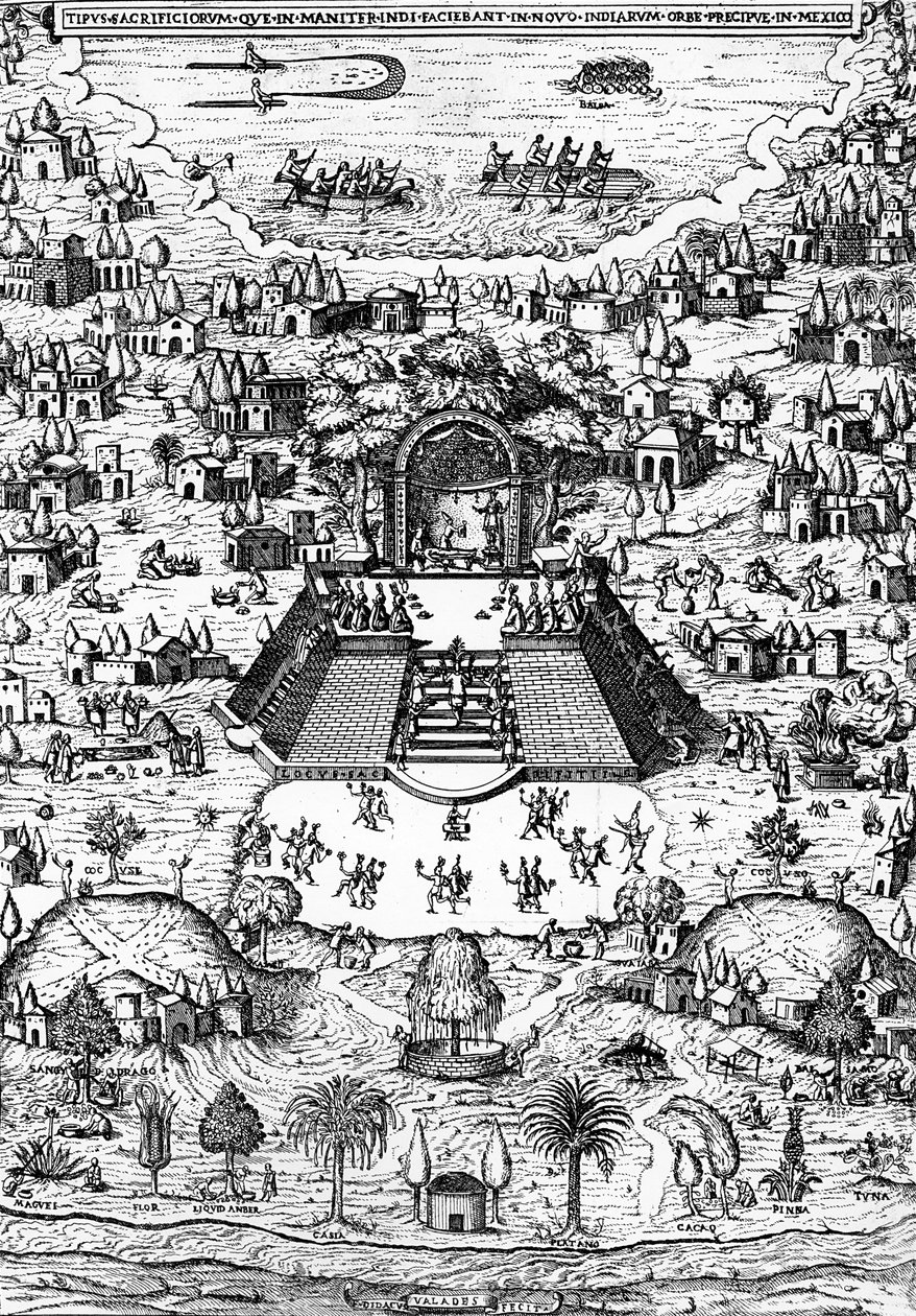 Veduta di Città del Messico da 