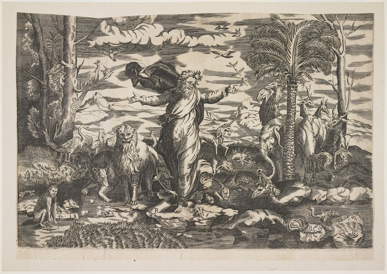 Dio crea gli animali, c.1550 da Italian School