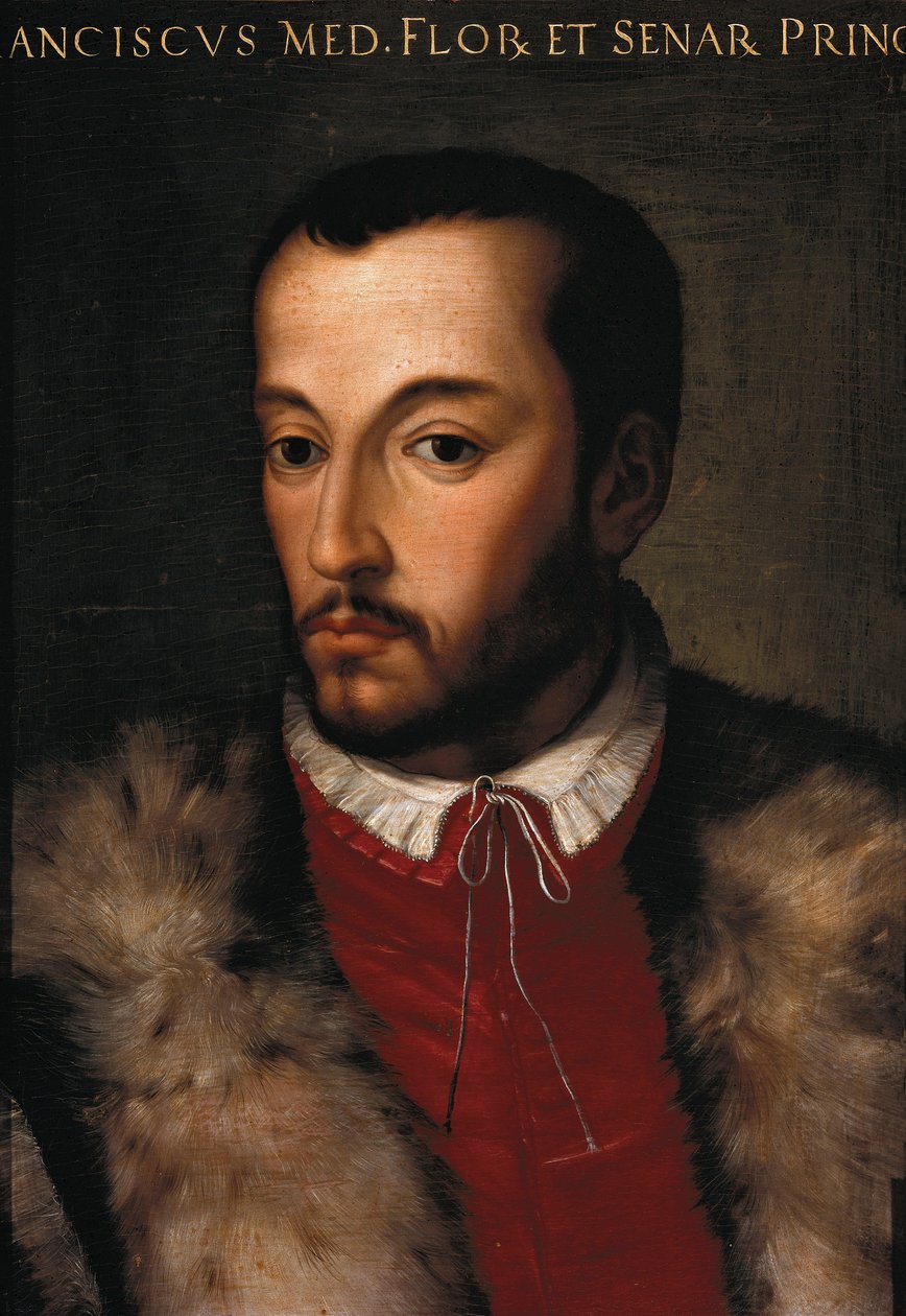 Ritratto di Francesco I de